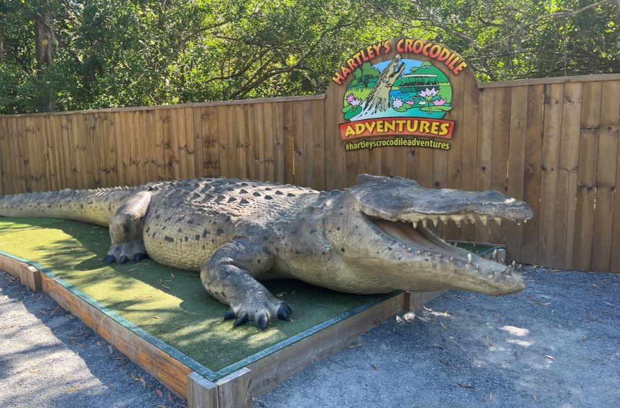 熱帯雨林の中にあるワニ園】オーストラリアのハートレーズクロコダイル 